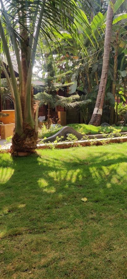 Tattvam On The Beach - Retreat And Spa Arambol Eksteriør billede